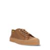 Obrázek STAR MASTER 48 MOCHA/003 TRNSP