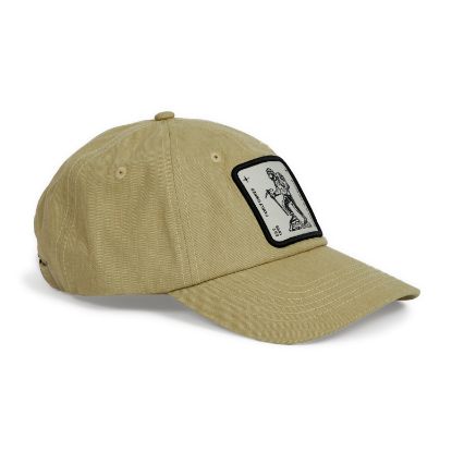 Obrázek Heritage Dad Cap Natural Stone